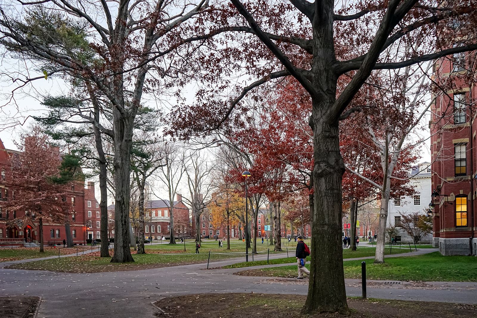 Cambridge, MA